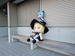 U4yulumO.jpg