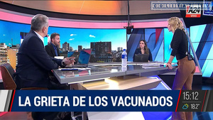 Marcela.Pagano.Pantalon.Ajustado.Marron.HD720P-ColitazTV.17.jpeg
