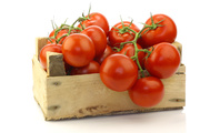 Сочные спелые помидоры / Juicy Ripe Tomatoes MEF611_t