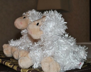 Permanent Link to 2010 07 Brandie Sheep