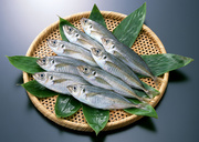 Свежая рыба / Fresh Fish MEGR8X_t