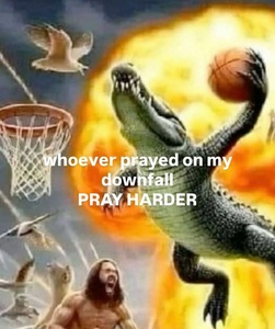 hyZ4J9os.jpg