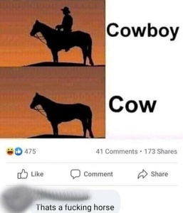 HHJpbS2x.jpg