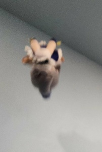 CJpG3eH5.jpg