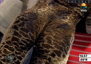 Colitaz-Nazarena.Velez.Catsuit.Leopardo.Vueltita.Intrusos.HQ.60FPS.56.jpeg