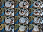 [Image: ME17WQEC_t.jpg]