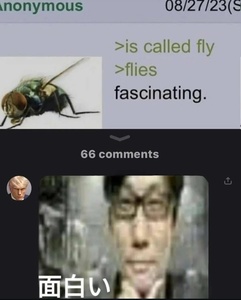 QmgTwB3b.jpg