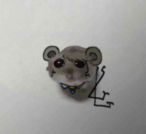 TSjxMsE6.jpg