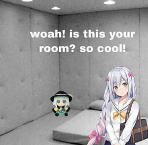 SO3zRQ71.jpg