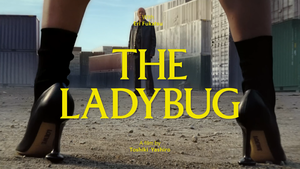 LOEWE PRESENTS： THE LADYBUG ⧸ 天道虫 SS2024.mp4_000004441.png
