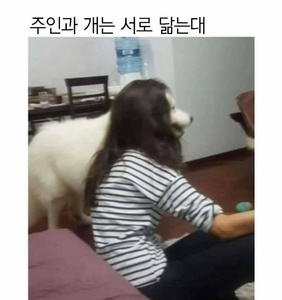 hHWjKRIs.jpg