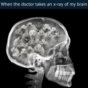 ZRAOy2Ih.jpg