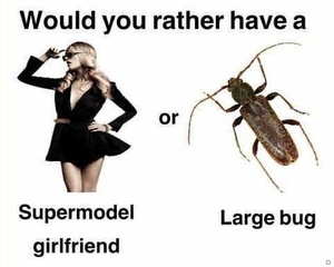 T0AWFcT7.jpg