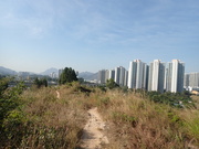 Hiking Tin Shui Wai 2023 July - 頁 3 MEQZM3A_t