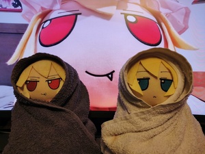 ELDFG2BF.jpg
