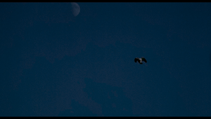 [Obrazek: MEZWZMS_t.png]