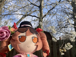 u1dJmMw7.jpg