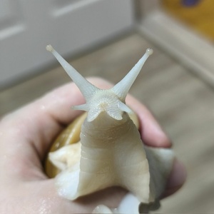 Ml9H9WoK.jpg