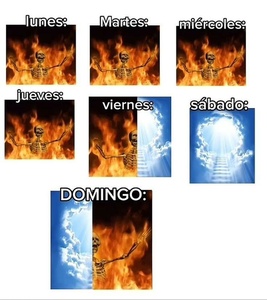 uPPhLXoJ.jpg