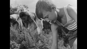 [Obrazek: MEQBNDQ_t.png]