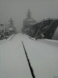 08nzqo8s.jpg
