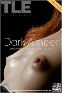 Permanent Link to 2012 09 12 DARK AMBER OPHELIA H