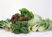 Сезонные овощи / Vegetables in Season MEH1E6_t