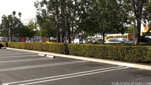 Permanent Link to Set 3589