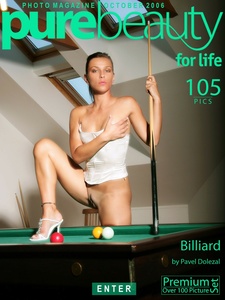 Permanent Link to 2006 10 29 – s285117 – Kristyna – Billiard