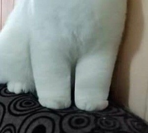 EogWJHPm.jpg