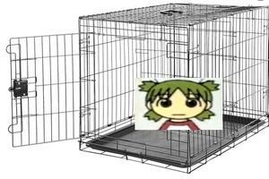 DNU98YgU.jpg