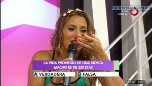 Mica.Viciconte.Huevos.Combate.1080P-ColitazTV.118.jpeg