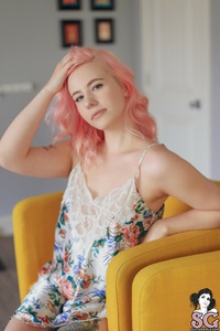 Permanent Link to 2019 05 17 Wild Rose