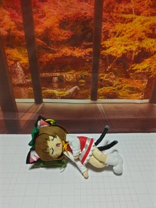 IRkU0pRP.jpg