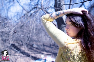 Permanent Link to Civil – Woody