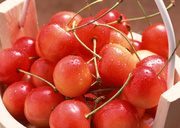 Урожай фруктов / Abundant Harvest of Fruit MEH2TV_t