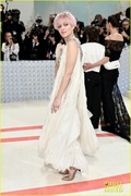 marion-cotillard-pink-hair-met-gala-12.jpg