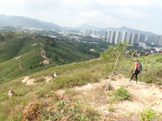 Hiking Tin Shui Wai 2023 July - 頁 2 MEP80FN_t