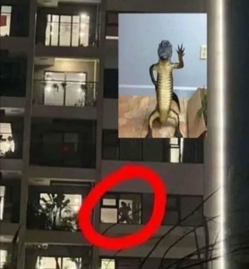 6jdQOcVL.jpg
