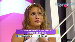 Mica.Viciconte.Huevos.Combate.1080P-ColitazTV.114.jpeg