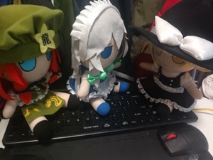 G0pdQVva.jpg
