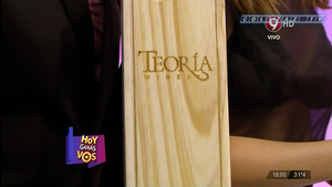 Solange.Abraham.Hoy.Ganas.Vos.Transparencia.Pezones.1080P.Ver.Orig.ColitazTV.42.jpeg