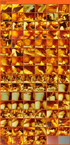 [Image: ME1973GM_t.jpg]