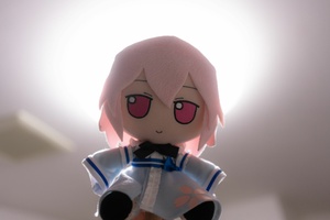 N9oD6boS.jpg