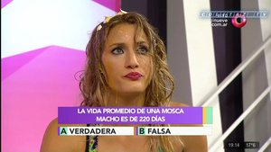 Mica.Viciconte.Huevos.Combate.1080P-ColitazTV.115.jpeg