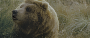 Movie cover image