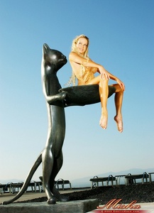 Permanent Link to Solo kitty