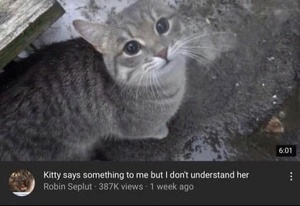 PAOsPL8U.jpg