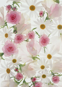 Цветочные и растительные фоны / Background Flowers & Plants MEN911_t