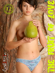 [Image: ME12E17S_t.jpg]